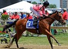 Comedero comes into the Red Legend after winning the Chick Lang at Pimlico in May.