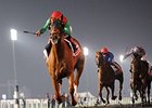 Animal Kingdom winning the Dubai World Cup.
<br><a target="blank" href="http://photos.bloodhorse.com/AtTheRaces-1/at-the-races-2013/27257665_QgCqdh#!i=2435016177&k=XgvfLJK">Order This Photo</a>