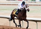 That's Who won the 2014 Jack Cole Stakes.