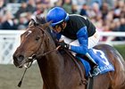 Bob Black Jack<br><a target="blank" href="http://www.bloodhorse.com/horse-racing/photo-store?ref=http%3A%2F%2Fpictopia.com%2Fperl%2Fgal%3Fprovider_id%3D368%26ptp_photo_id%3D7224419%26ref%3Dstory">Order This Photo</a>