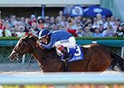 Best Behavior is one of three for trainer Marty Wolfson in the Rampart Stakes.<br><a target="blank" href="http://photos.bloodhorse.com/AtTheRaces-1/At-the-Races-2014/i-Fh22VZ9">Order This Photo</a>