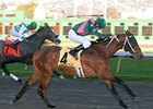 El Camino Real Derby winner Silver Medallion is among the 131 nominations for the Vinery Racing Spiral Stakes.