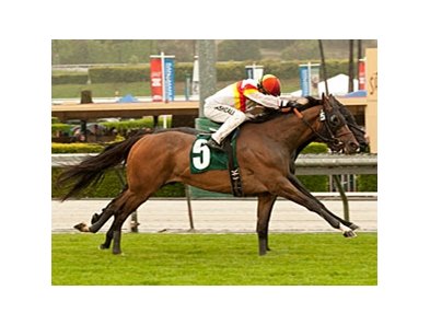 Bourbon Bay won the 2012 San Luis Rey by a head over Slim Shadey.