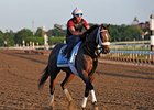 Oxbow
<br><a target="blank" href="http://photos.bloodhorse.com/TripleCrown/2013-Triple-Crown/Belmont-Stakes-145/29744699_jpqpwR#!i=2556962602&k=v4h7DDx">Order This Photo</a>