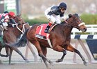 Lovely Lil and Cornelio Velasquez take the Go for Wand at Aqueduct. <br><a target="blank" href="http://www.bloodhorse.com/horse-racing/photo-store?ref=http%3A%2F%2Fpictopia.com%2Fperl%2Fgal%3Fprovider_id%3D368%26ptp_photo_id%3D9753555%26ref%3Dstory">Order This Photo</a>