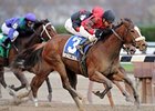 Spacy Tracy comes home strong to win the Top Flight.<br><a target="blank" href="http://www.bloodhorse.com/horse-racing/photo-store?ref=http%3A%2F%2Fpictopia.com%2Fperl%2Fgal%3Fprovider_id%3D368%26ptp_photo_id%3D9300545%26ref%3Dstory">Order This Photo</a>