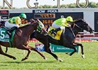 Dandino gets up late to win the American St. Leger Stakes.