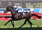 New Zealand-Breds Score in Aussie Derby New Zealand-Breds Score in Aussie Derby