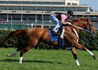 Curlin's July 1 work over the Churchill Downs turf proved good enough for him to run next in the Man o' War (gr. IT) at Belmont Park on July 12.