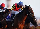 Gentildonna won the Japan Cup in 2012 and 2013 (shown).