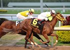 Davona Dale winner Yara