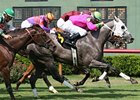 Unbeaten Forestry Steel hasn't run since winning the Sunny's Halo Stakes at Louisiana Downs last August.