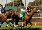 Global Hunter won the American Handicap at Hollywood Park, but his victory turned to sadness when the grade I winner pulled up lame.<br><a target="blank" href="http://www.bloodhorse.com/horse-racing/photo-store?ref=http%3A%2F%2Fpictopia.com%2Fperl%2Fgal%3Fprovider_id%3D368%26ptp_photo_id%3D9095827%26ref%3Dstory">Order This Photo</a>