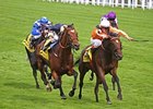 Danedream Retired, to be Bred to Frankel Danedream Retired, to be Bred to Frankel