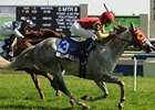 Winward Islands wins the Nijinsky Stakes.