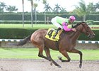 Mambo Meister cruised to a 7 3/4-length victory in the Memorial Day Handicap at Calder Race Course.