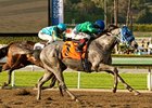 Creative Cause fights off Bodemeister to win the San Felipe Stakes.