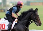 So You Think<br><a target="blank" href="http://photos.bloodhorse.com/AtTheRaces-1/at-the-races-2012/22274956_jFd5jM#!i=1791533906&k=C45pQZs">Order This Photo</a>