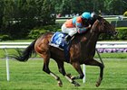 Tannery won the Sheepshead Bay Stakes at Belmont Park May 25.<br><a target="blank" href="http://photos.bloodhorse.com/AtTheRaces-1/at-the-races-2013/27257665_QgCqdh#!i=2534323868&k=gCFwj7G">Order This Photo</a>