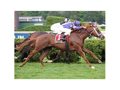 Fourstardave Handicap winner Red Giant is one of three multiple grade II winners in the Clement L. Hirsch Turf Championship.