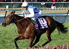 Goldikova will try for number 4 in the Breeders' Cup Mile<br><a target="blank" href="http://www.bloodhorse.com/horse-racing/photo-store?ref=http%3A%2F%2Fpictopia.com%2Fperl%2Fgal%3Fprovider_id%3D368%26ptp_photo_id%3D9268005%26ref%3Dstory">Order This Photo</a>