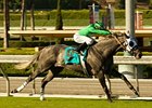Morvich winner California Flag is co-highweight (with One Union) for the Turf Express Handicap.