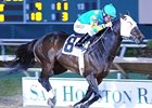 Z Humor controls the pace to win the Maxxam Gold Cup.