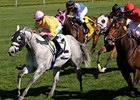 Silver Timber Looks to Axe Turf Sprint Silver Timber Looks to Axe Turf Sprint