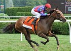 Hungry Island is the 120-pound high weight in the Mrs. Revere Stakes.