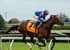 Najjaar won the 2013 Sycamore Stakes. <br><a target="blank" href="http://photos.bloodhorse.com/AtTheRaces-1/at-the-races-2013/27257665_QgCqdh#!i=2840528077&k=NM9JPMh">Order This Photo</a>