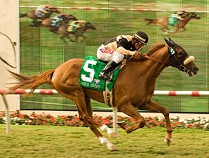 Magical Fantasy for Real in Del Mar Oaks Magical Fantasy for Real in Del Mar Oaks