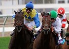 Smart Bid (green cap) faces 10 in the Dixie.