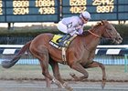 Awesome Act pulls away in the Gotham.<br><a target="blank" href="http://www.bloodhorse.com/horse-racing/photo-store?ref=http%3A%2F%2Fpictopia.com%2Fperl%2Fgal%3Fprovider_id%3D368%26ptp_photo_id%3D8825559%26ref%3Dstory">Order This Photo</a>