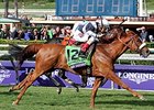Turf specialists have dominated the Older Male category in recent years, including Main Sequence in 2014.<br><a target="blank" href="http://photos.bloodhorse.com/BreedersCup/2014-Breeders-Cup/Turf/i-BFXzjSX/A">Order This Photo</a>