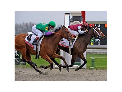 Ashland winner Little Belle worked at Keeneland on April 25 in preparation for the Kentucky Oaks.