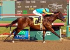 Hollywood Prevue winner Massive Drama heads the field for the San Rafael.<br><a target="blank" href="http://www.bloodhorse.com/horse-racing/photo-store?ref=http%3A%2F%2Fpictopia.com%2Fperl%2Fgal%3Fprovider_id%3D368%26ptp_photo_id%3D2844014%26ref%3Dstory">Order This Photo</a>