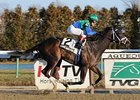 Love and Pride will be trying for her second stakes win of the year in the Allaire DuPont Distaff Stakes.