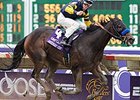 Indian Blessing won the 2007 BC Juvenile Fillies.