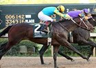 Derby Contender Nehro Breezes at Churchill Derby Contender Nehro Breezes at Churchill
