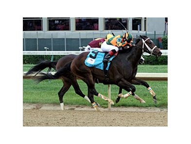 Believe You Can
<br><a target="blank" href="http://photos.bloodhorse.com/AtTheRaces-1/at-the-races-2012/22274956_jFd5jM#!i=1836427697&k=xhT3qtf">Order This Photo</a>