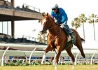 California Chrome