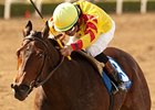 Turbulent Descent takes on 5 in the Beaumont at Keeneland.<br><a target="blank" href="http://www.bloodhorse.com/horse-racing/photo-store?ref=http%3A%2F%2Fpictopia.com%2Fperl%2Fgal%3Fprovider_id%3D368%26ptp_photo_id%3D9432773%26ref%3Dstory">Order This Photo</a>