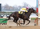 Singlet powers home to win the Garland of Roses.<br><a target="blank" href="http://photos.bloodhorse.com/AtTheRaces-1/at-the-races-2012/22274956_jFd5jM#!i=2247697020&k=PvVz2sf">Order This Photo</a>