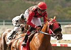 Could Be Reneesgotzip's Year in Turf Sprint Could Be Reneesgotzip's Year in Turf Sprint