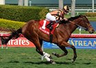 Little Mike wins the 2011 Appleton Stakes.
<br><a target="blank" href="http://www.bloodhorse.com/horse-racing/photo-store?ref=http%3A%2F%2Fpictopia.com%2Fperl%2Fgal%3Fprovider_id%3D368%26ptp_photo_id%3D9473976%26ref%3Dstory">Order This Photo</a>