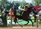 Porter on Pedigrees: Palace Intrigue Porter on Pedigrees: Palace Intrigue