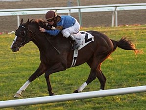 Gantry Favored in Jaipur, His Stakes Debut Gantry Favored in Jaipur, His Stakes Debut