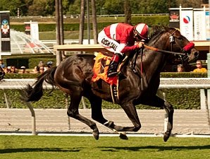 Acclamation Scratched from Inglewood Acclamation Scratched from Inglewood