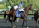 Magician
<br><a target="blank" href="http://photos.bloodhorse.com/AtTheRaces-1/At-the-Races-2014/i-xX5QPbf">Order This Photo</a>