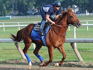 Coil Works Bullet, Will Start in Travers Coil Works Bullet, Will Start in Travers